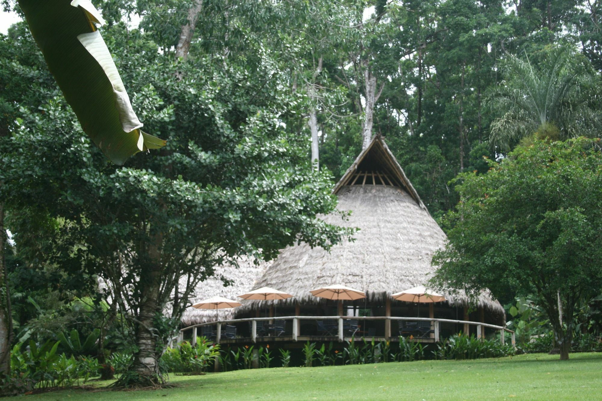 Bosque Del Cabo Rain Forest Lodge Puerto Jiménez Exterior foto